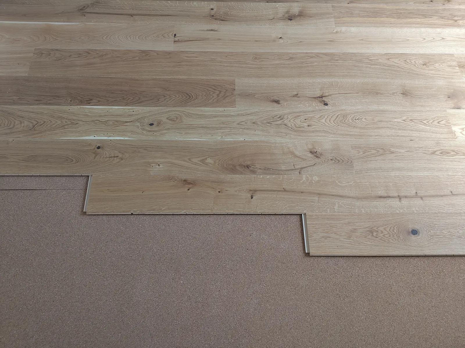 Altbausanierung eines Einfamilienhaus - 1